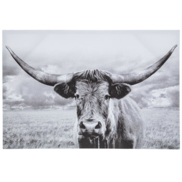 Hobby Lobby Wall Art Longhorn Canvas Wall Decor Poshmark